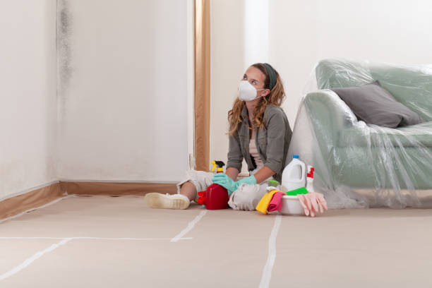 Reliable Mold Cleanup contractor in Babylon, NY by WQB Mold Removal